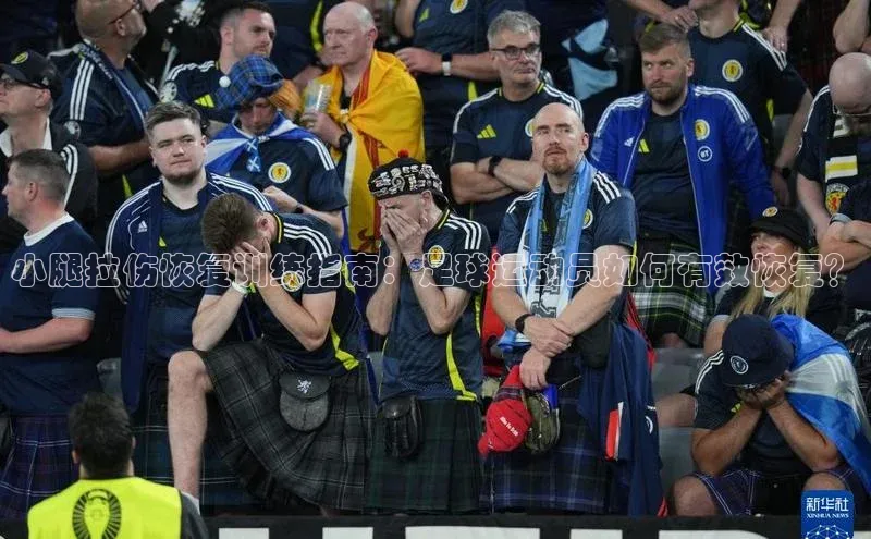 人人体育篮球直播nba下载百度翻译