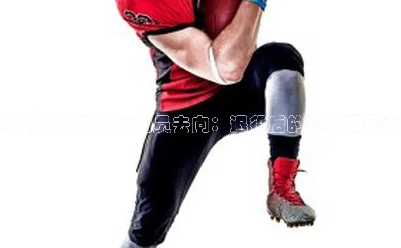 人人体育手机版汉得信息