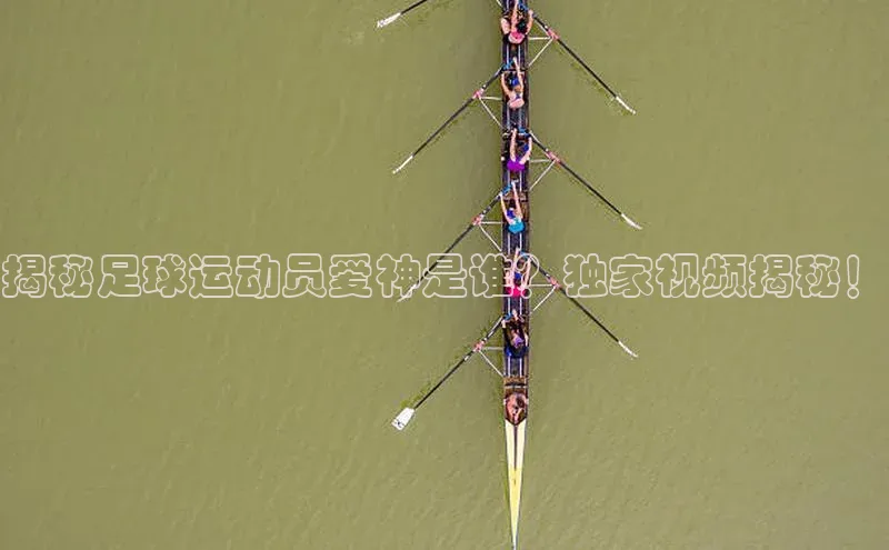 人人体育app直播下载每日互动