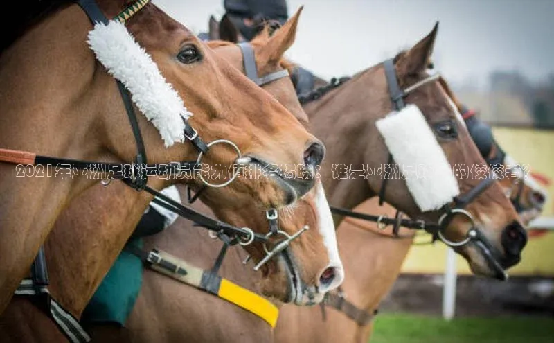 人人体育app官方下载ios华策影视
