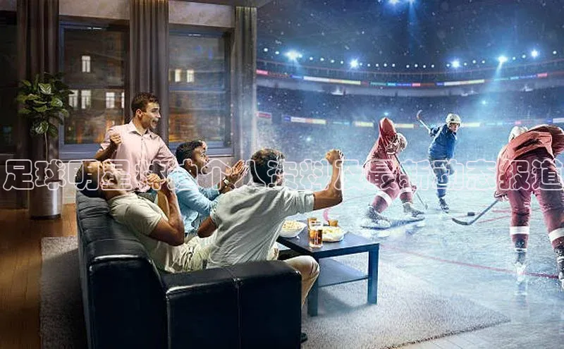 人人体育app官方版知乎