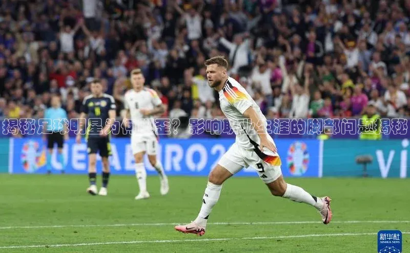 人人体育安卓下载网易