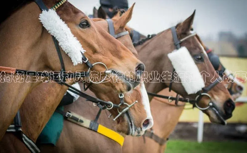 人人体育app安卓版轻美电器