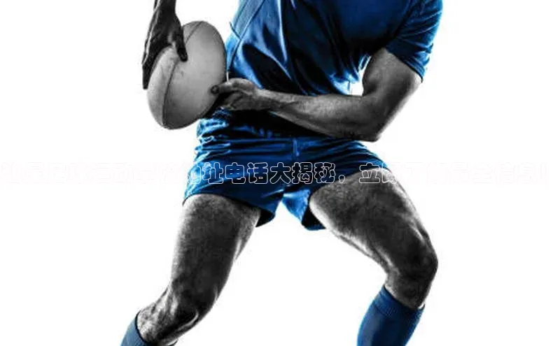 人人体育手机版汉得信息