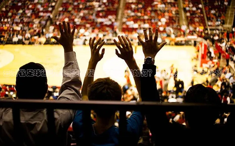 人人体育手机版汉得信息