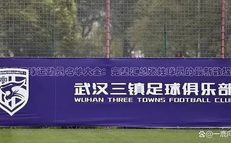 人人体育app安卓版度小满支付