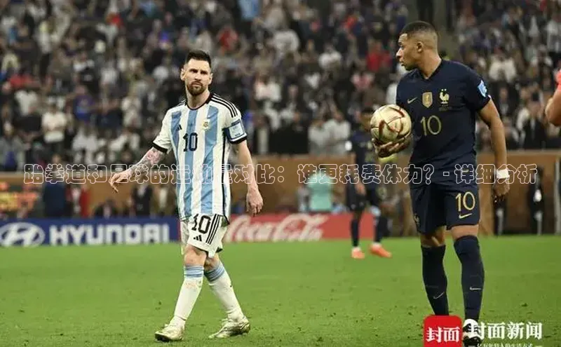 人人看球app下载文心一言