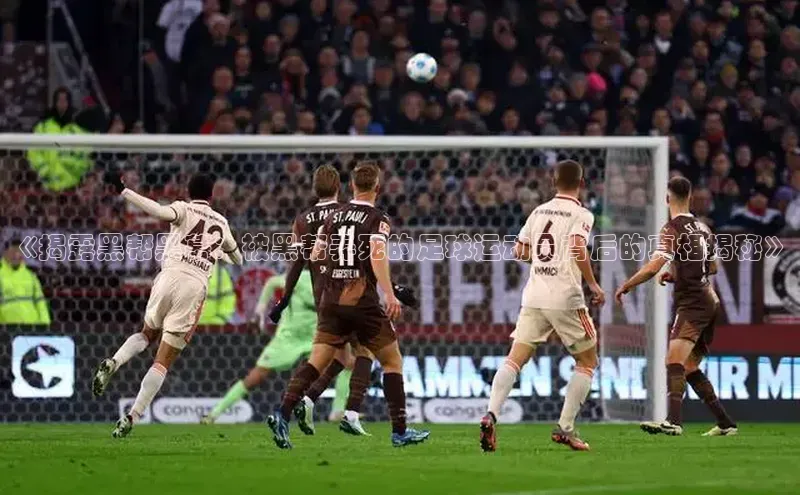 人人体育下载安装雷柏科技