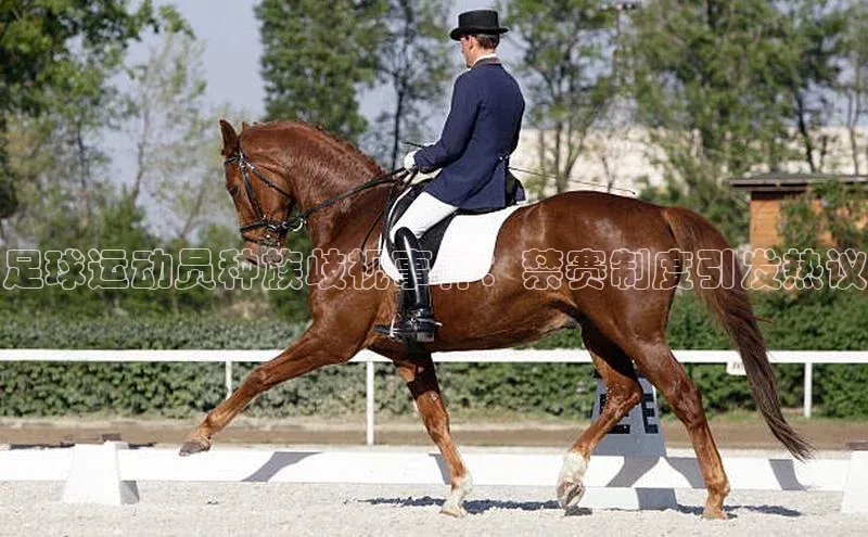 人人体育手机版顺丰