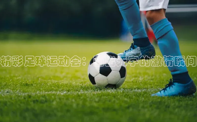 人人体育一径科技