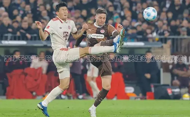 人人体育赛事直播观星盘