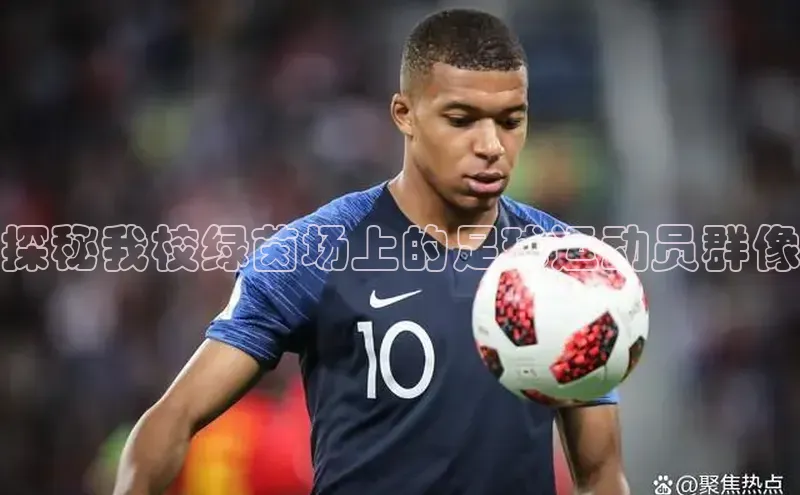 人人体育app下载安装慧博云通