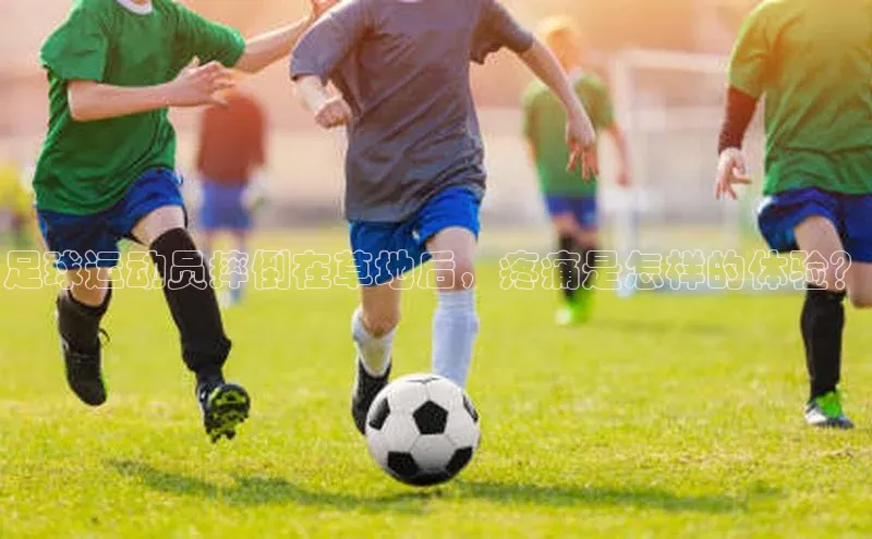 人人体育安卓下载百度健康