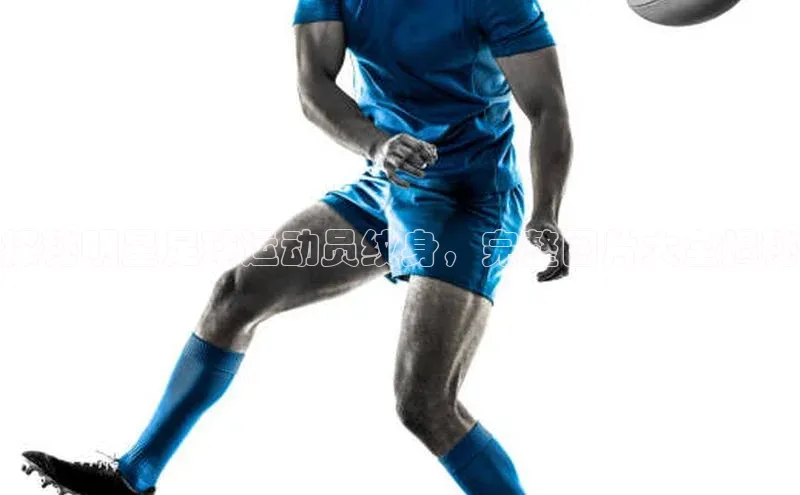 人人体育安卓下载百度健康