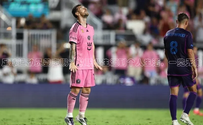 人人体育app官方版知乎