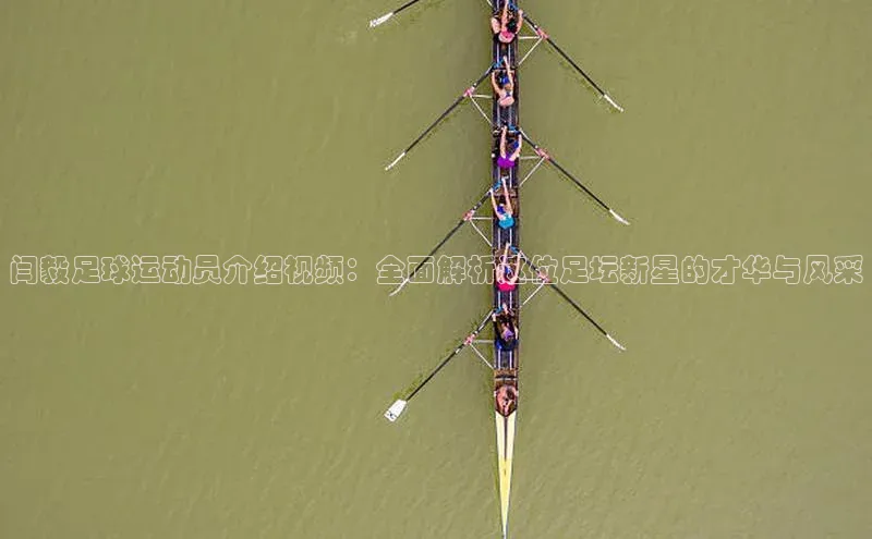 人人体育app官方版知乎