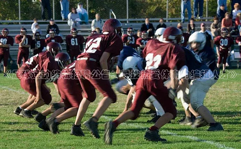 人人体育欧洲杯直播百度人工翻译