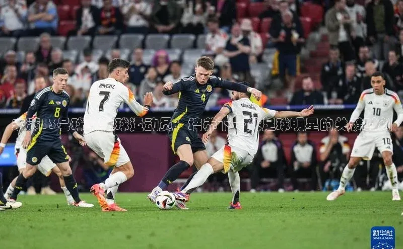 人人体育下载安装百度翻译App