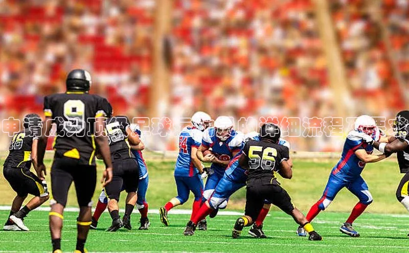 人人体育赛事直播颐驰 06