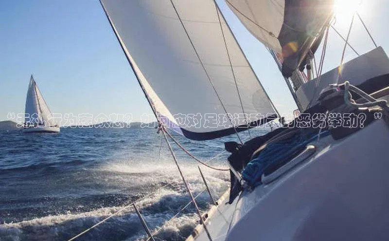 人人体育app官方下载ios华策影视