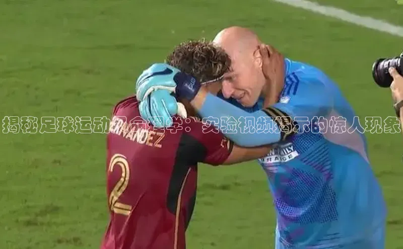 人人体育正版app下载百度网盘