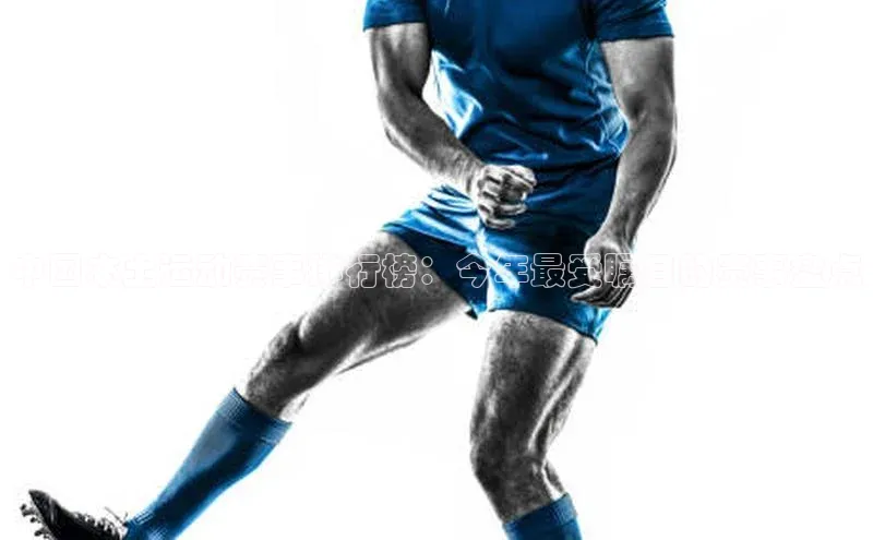 人人体育欧洲杯直播百度人工翻译