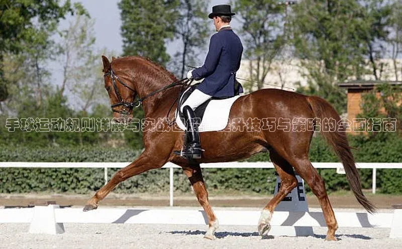 人人体育手机版