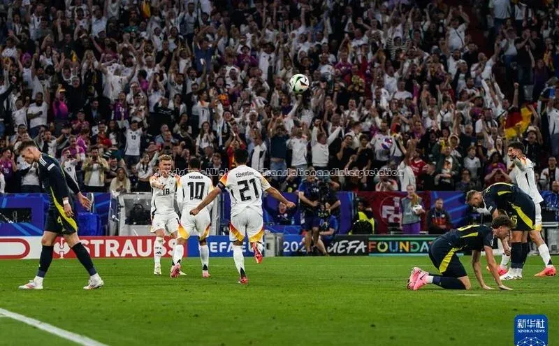 人人体育app安卓版