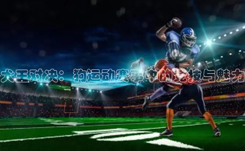 人人体育安卓下载