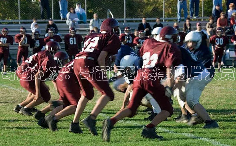 人人体育app官方版