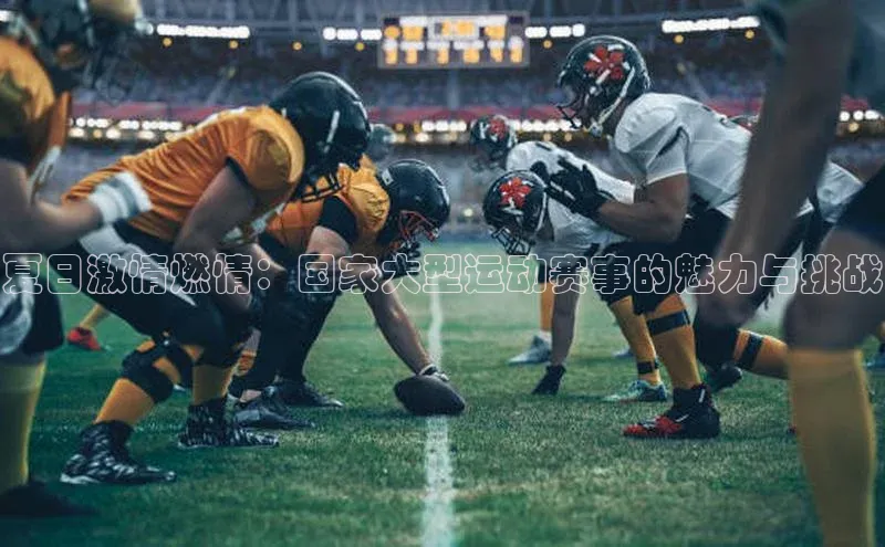 人人体育正版app下载