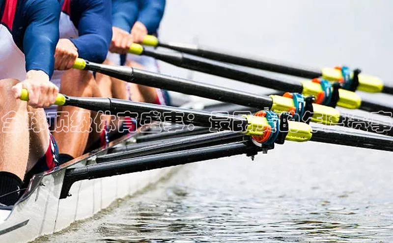 人人体育app官方下载最新版本