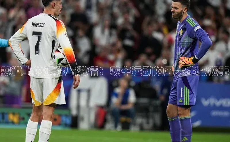 人人体育app官方版