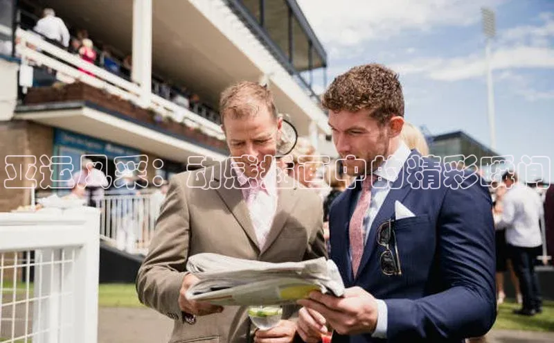 人人体育欧洲杯直播