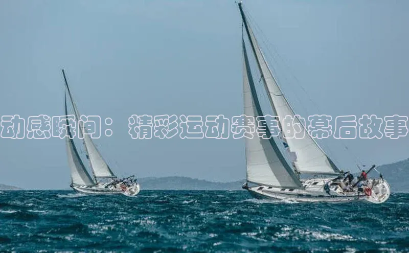 人人看球app下载