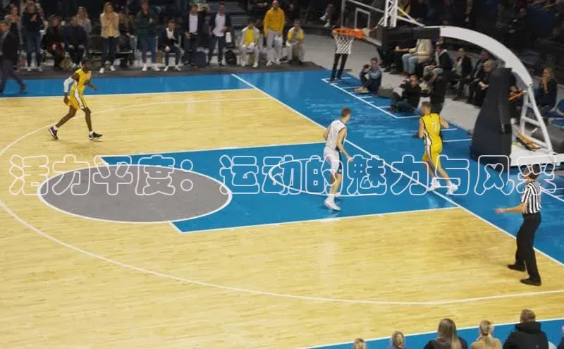 人人体育下载安装