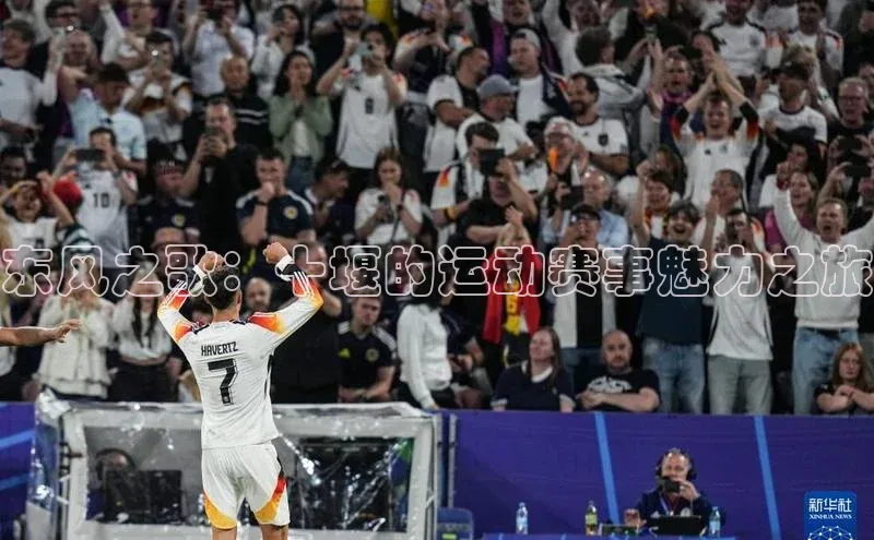 人人体育直播篮球