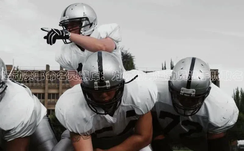 人人体育安卓下载