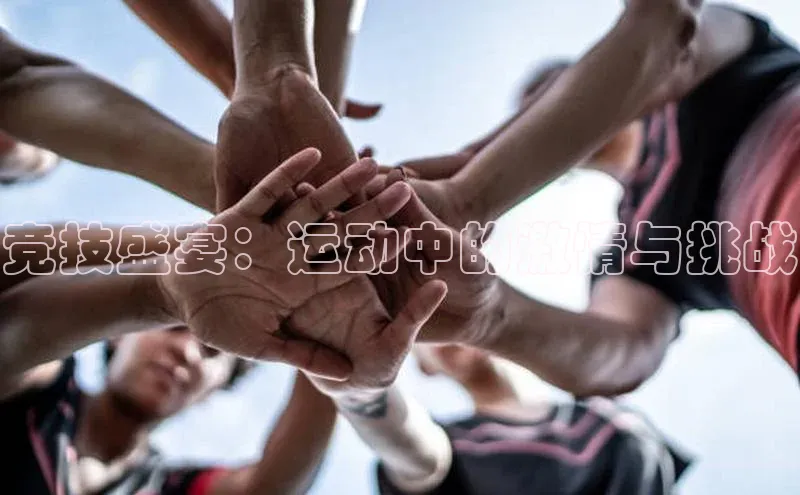 竞技盛宴：运动中的激情与挑战